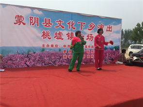 蒙陰桃墟鎮(zhèn)開展送文化下鄉(xiāng)文藝演出暨文化藝術(shù)交流活動(dòng)
