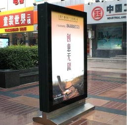 岢嵐木苗在哪賣得火？質量與口碑俱佳的選購指南